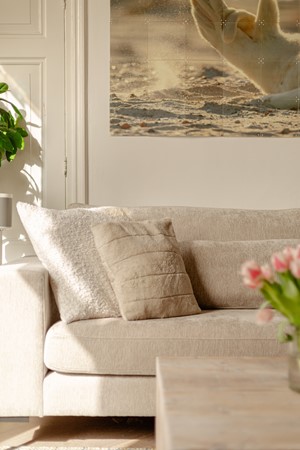 Medium property photo - Waldeck Pyrmontkade 926B, 2518 JW Den Haag